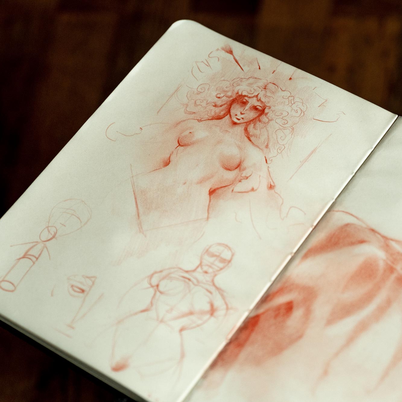 Sanguine drawing from March 11th, 2023