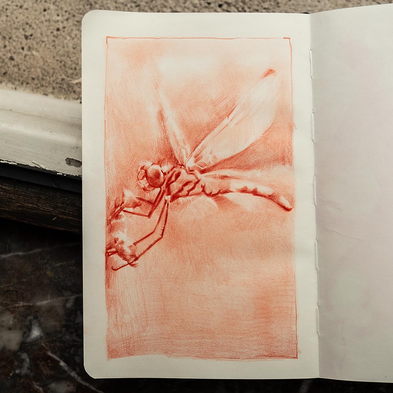 Sanguine drawing from September 14th, 2023