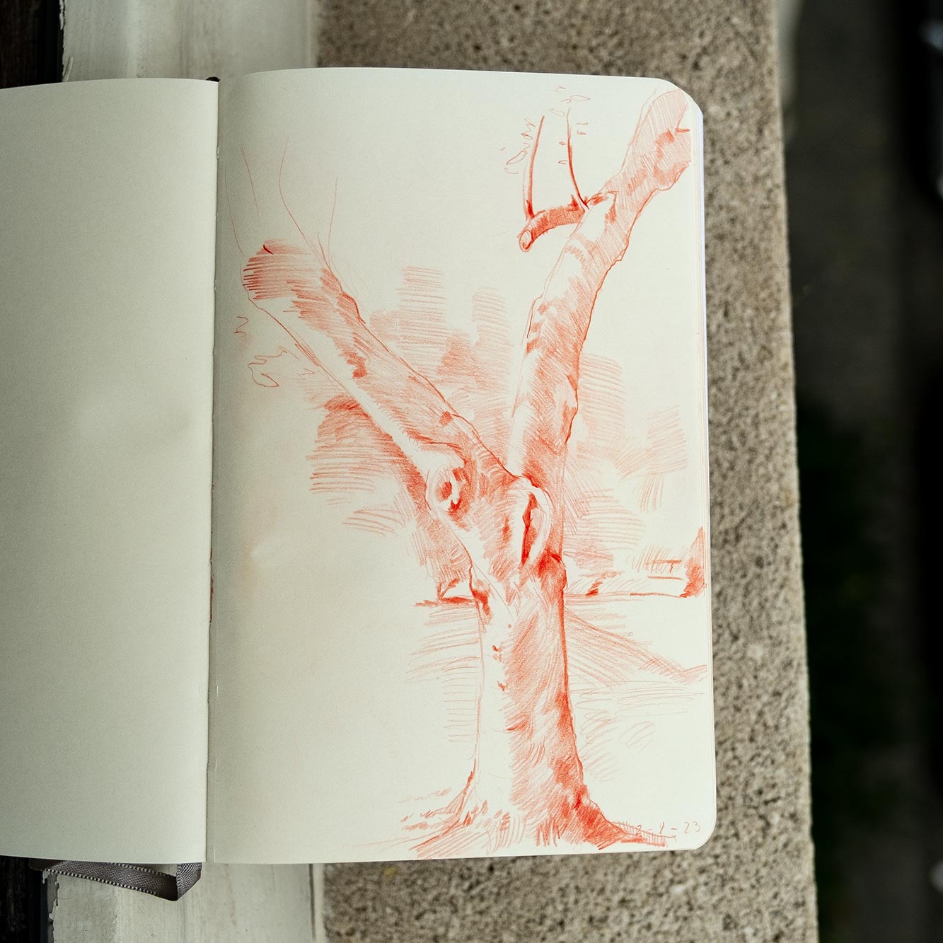 Sanguine drawing from October 3rd, 2023