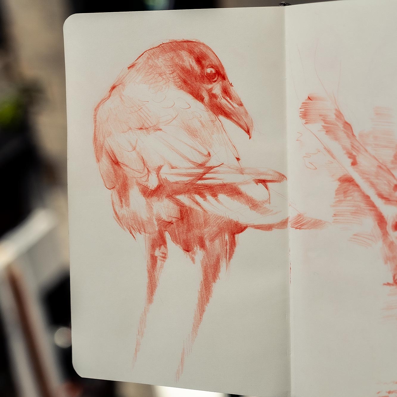 Sanguine drawing from October 8th, 2023