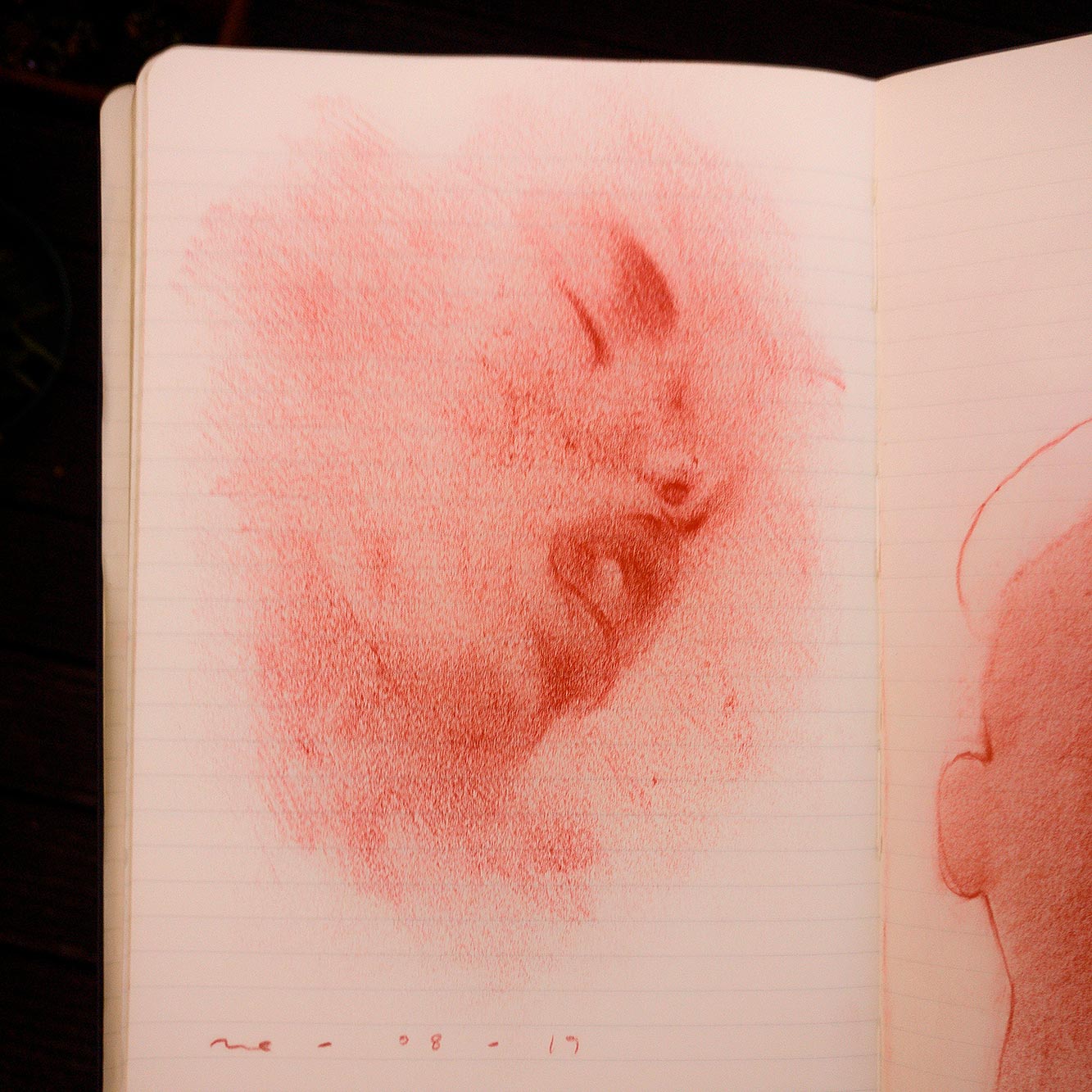 Sanguine drawing from February 7th, 2024